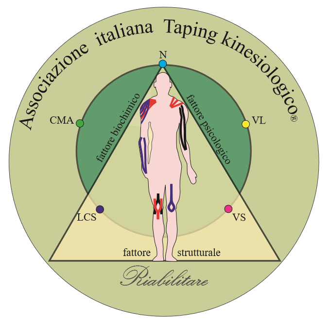 Associazione Italiana Taping Kinesiologico (Logo)
