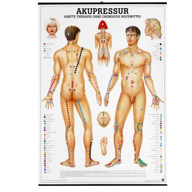 https://www.acupunctureworld.com/out/pictures/generated/product/1/390_375_75/a001162-acupuncture-literature-foot-posters-german-english.jpg
