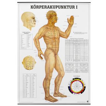 Agopuntura del corpo I - poster, tedesco 