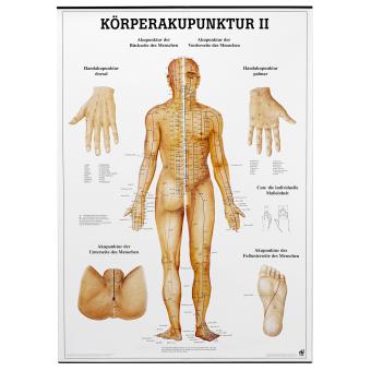 Körperakupunktur II Lehrtafeln - Deutsch 